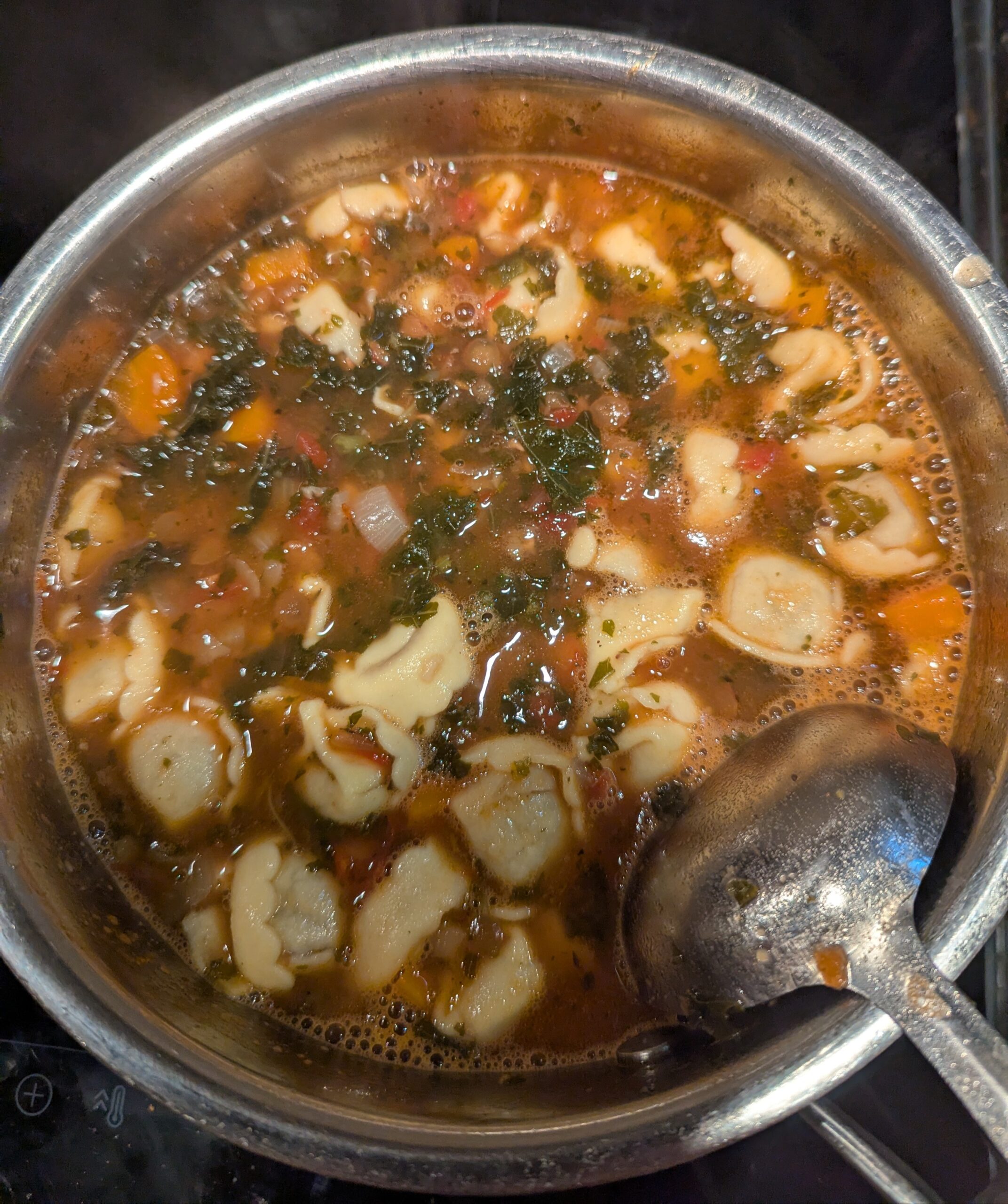 Hearty Vegetable Tortellini Soup with Lentils