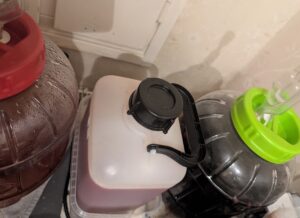 The jug in between two bigger jars of other fruit wine in progress