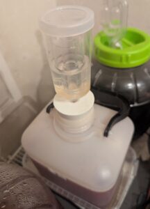 The full fermenting jug complete with airlock now