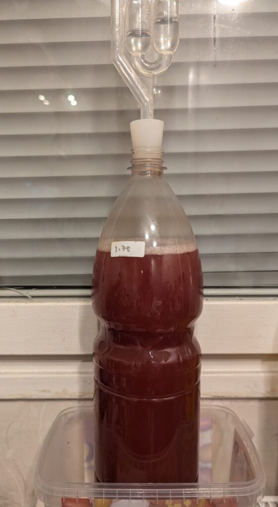 Fermenting 2L drink bottle of fruit juice wine