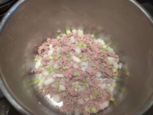 Frying meat in the soup pot, with onions and celery just added in.